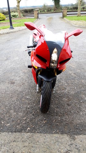 2013 Benelli Tornado 900 TRE For Sale