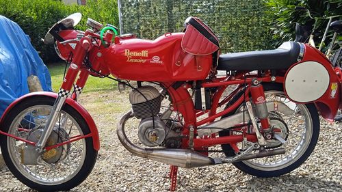 Picture of 1953 Benelli Leoncino 125 SS racing - For Sale