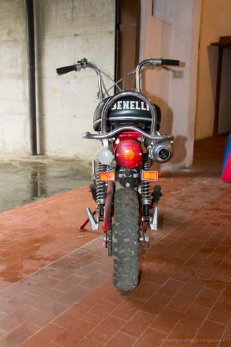 1970 Benelli Leoncino 500 - 5