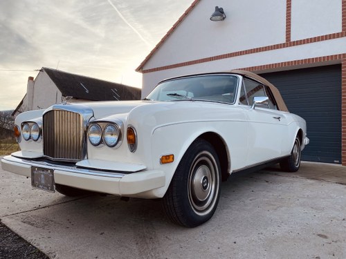 1979 Bentley Continental Cabrio Convertible LHD For Sale