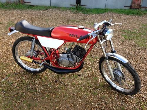 MILANI 48 SS COMPETITION In vendita