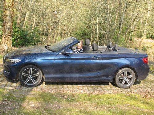 2016 BMW Convertible For Sale