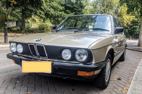 1985 BMW E28 520i Lux - 5 Series Bronzit Sharknose For Sale
