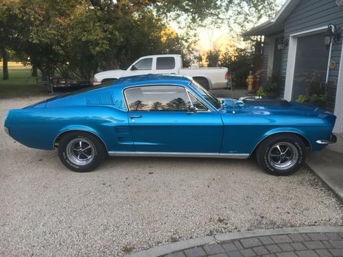 2019 1967 Mustang Fastback four speed V8 In vendita