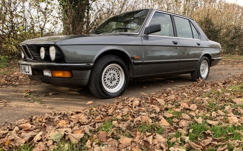 1987 Bmw e28 520i LUX For Sale