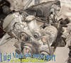 1989 BMW M50 B20 Engine - 320i E36 / 520i E34 Kaufen Bei