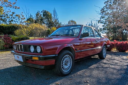 1986 A Rare Bird! VERKAUFT