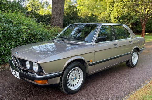 1987 BMW E28 520I AUTOMATIC In vendita all'asta