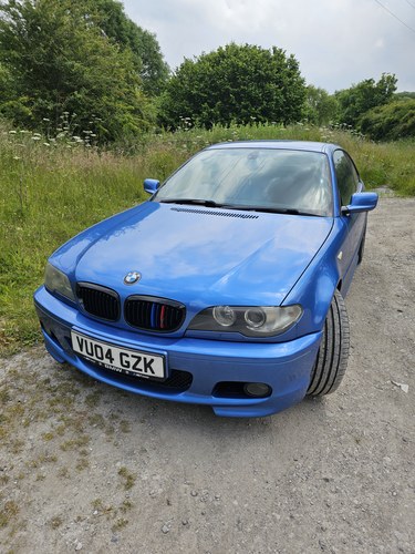 2004 BMW 3 Series E46 330Ci
