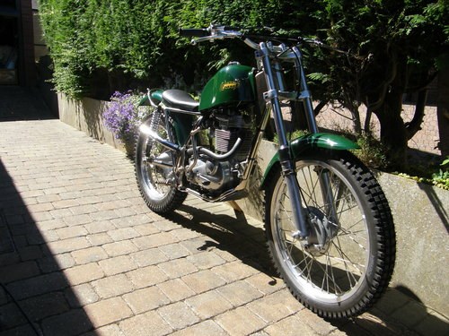 bsa wasp trials For Sale