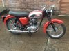 1960 BSA 250 C15 - SOLD - awaiting collection  SOLD