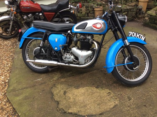 1960 BSA Gold flash For Sale