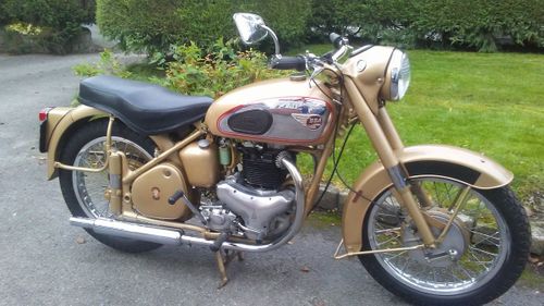Picture of BSA A10 Gold flash Plunger 1956 - For Sale