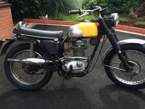 1970 BSA B44 Victor Special For Sale