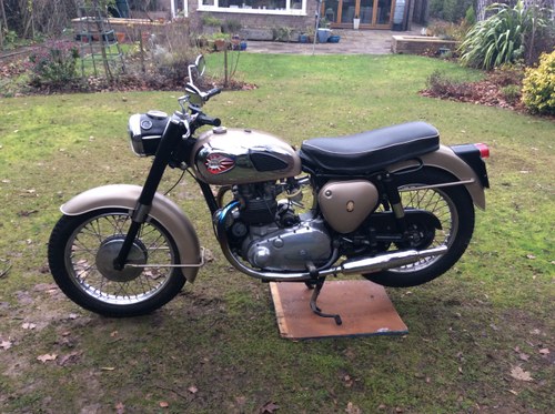 1960 BSA Gold Flash For Sale