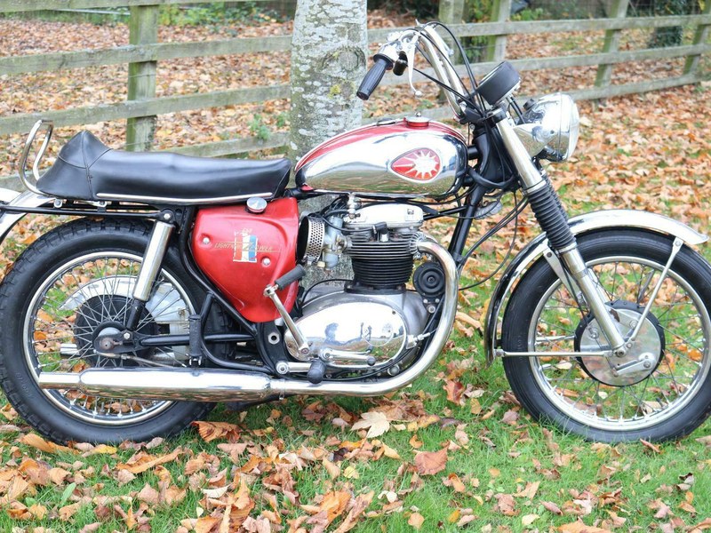 BSA A65 Lightning 1967 99% original and untouched. True Surv