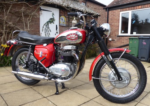 1969 Beautiful BSA A65 Thunderbolt Kaufen Bei