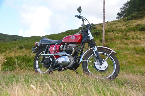 1966 BSA A65 Hornet Kaufen Bei