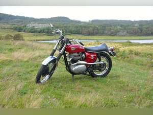 1966 BSA A65 Hornet For Sale (picture 6 of 6)