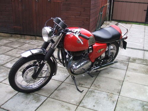 1967 BSA 650 Spitfire MK3 For Sale