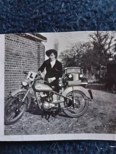 1952 BSA Batum For Sale