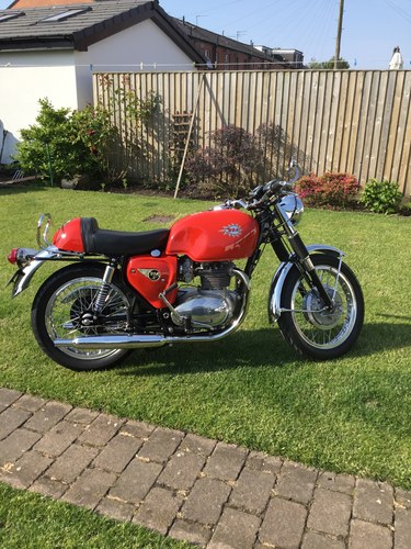 BSA A65 Spitfire 1966
