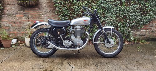 Picture of 1955 BSA Scrambler - For Sale