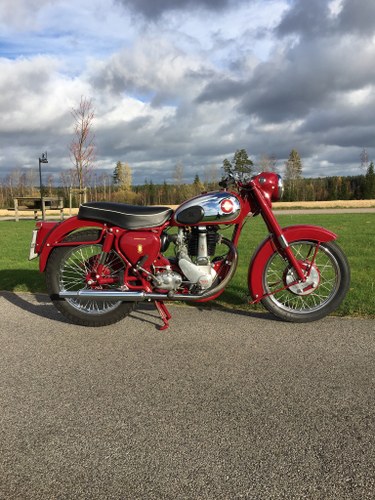 1955 BSA B33