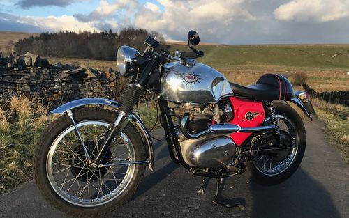 1965 BSA A65 (picture 1 of 16)