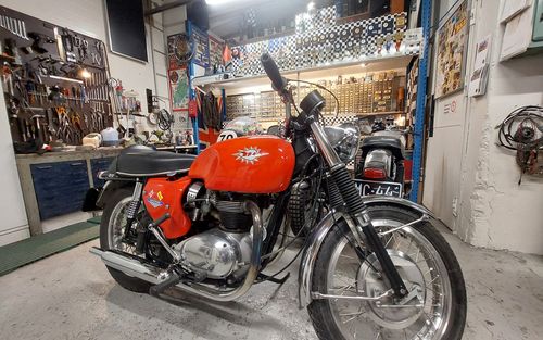 1964 BSA Spitfire (picture 1 of 5)