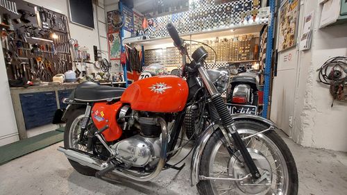 Picture of 1964 BSA Lightning - For Sale