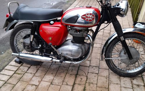 1965 BSA A65 (picture 1 of 8)