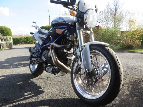 Buell white lightning x1. 2001. stunning VERKAUFT