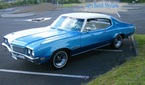 1972 Buick Skylark Coupe In vendita