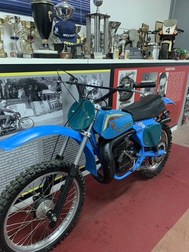 1978 Bultaco Pursang