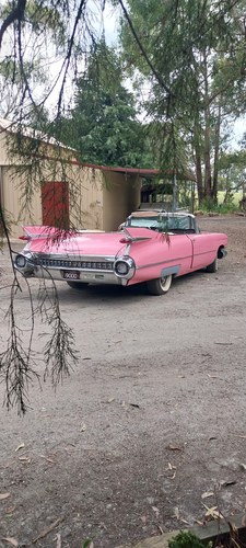 1959 Cadillac Convertible