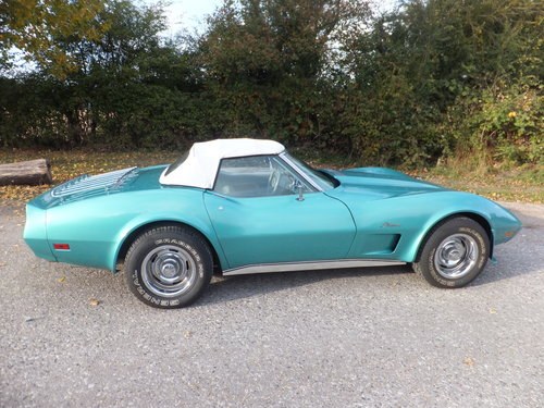 Convertible Sting Ray, 1975 For Sale