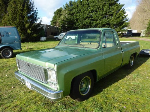 1978 Chevy/GMC C10 Pick Up For Sale