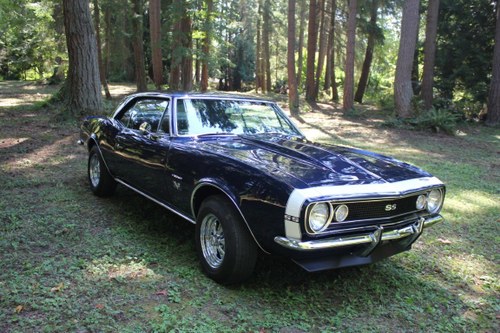 1967 Chevrolet Camaro SS Recreational For Sale by Auction