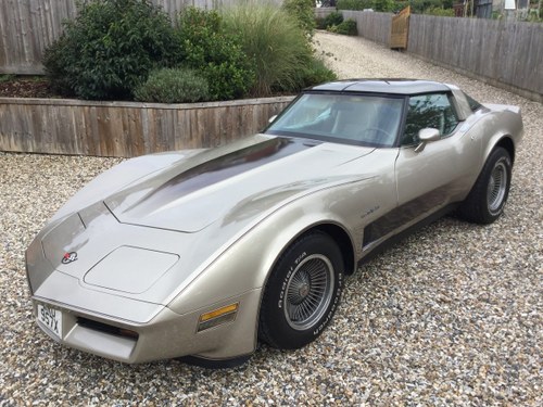 1982 Corvette Stingray collector edition In vendita