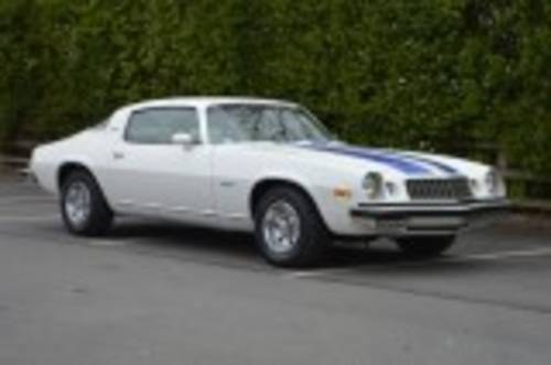1975 Chevrolet Camaro LT Coupe For Sale by Auction