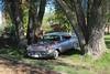 1957 Chevy Bel Air Sport Coupe For Sale
