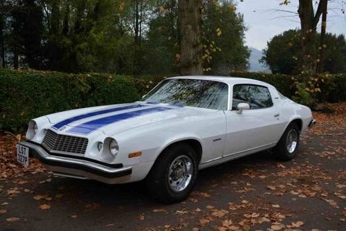 1975 Chevrolet Camaro LT For Sale by Auction