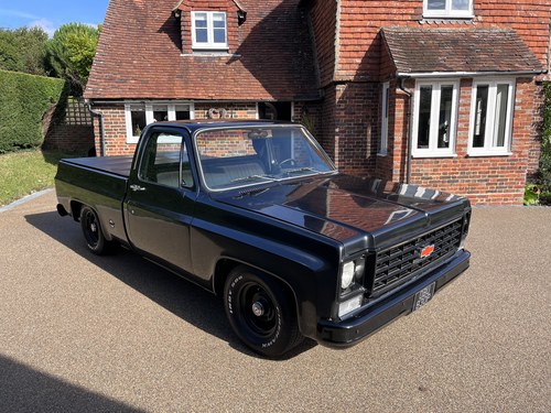 1976 Chevy c10 454 v8 pick up For Sale