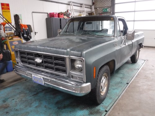Chevy Pick Up V8 350cu 1979 For Sale