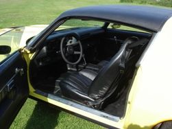 Picture of Head-turning Z28