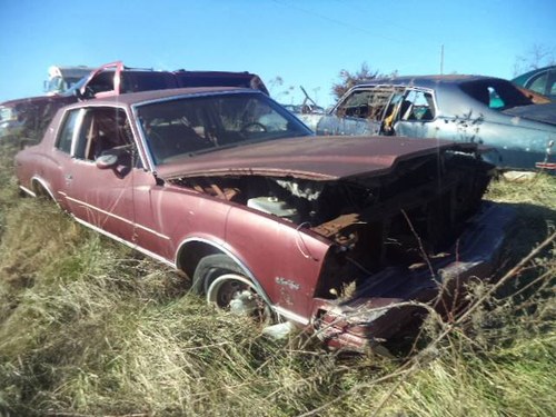 Parting Out: 1980 Chevrolet Monte Carlo For Sale