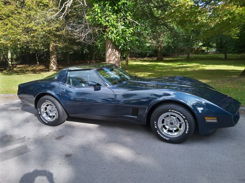 1981 Corvette C3 V8 Auto. Beautiful Low Mileage Original Car