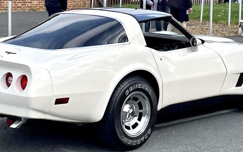 1981 Chevrolet Corvette C3 (picture 1 of 19)