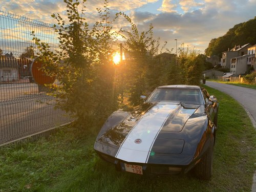 CHEVROLET Corvette C3 LT 82 - 1976 Kaufen Bei